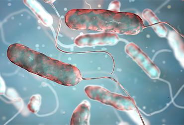Legionella-Risk-Assessment-Services